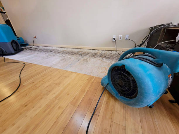 Professional Structural Drying technician working in Anatone, WA
